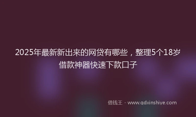 2025年最新新出来的网贷有哪些，整理5个18岁借款神器快速下款口子
