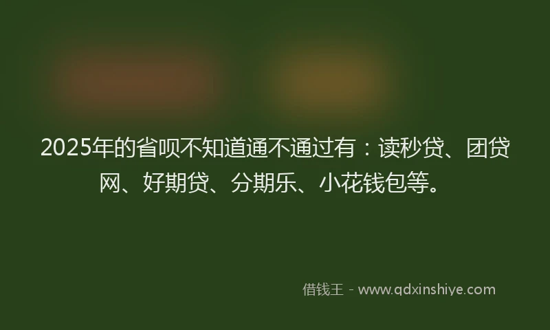 2025年的省呗不知道通不通过有：读秒贷、团贷网、好期贷、分期乐、小花钱包等。