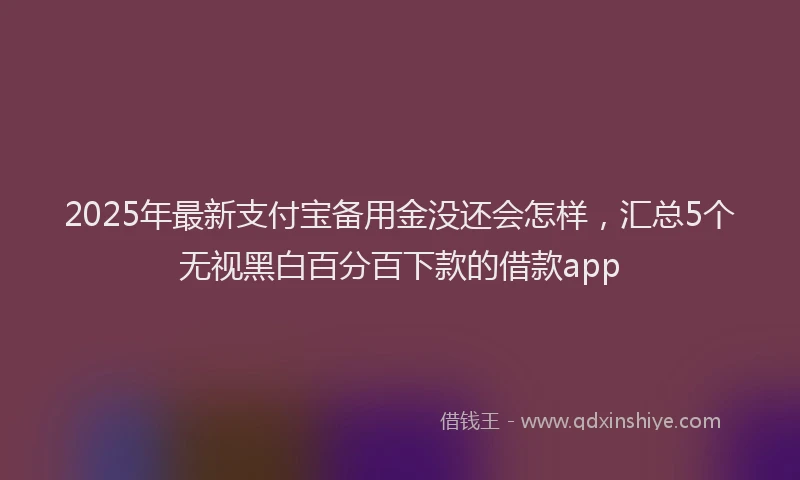 2025年最新支付宝备用金没还会怎样，汇总5个无视黑白百分百下款的借款app