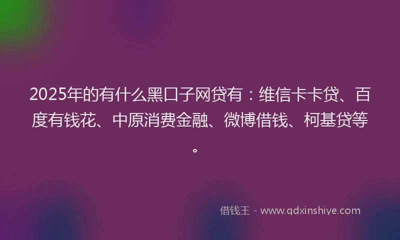 2025年的有什么黑口子网贷有：维信卡卡贷、百度有钱花、中原消费金融、微博借钱、柯基贷等。