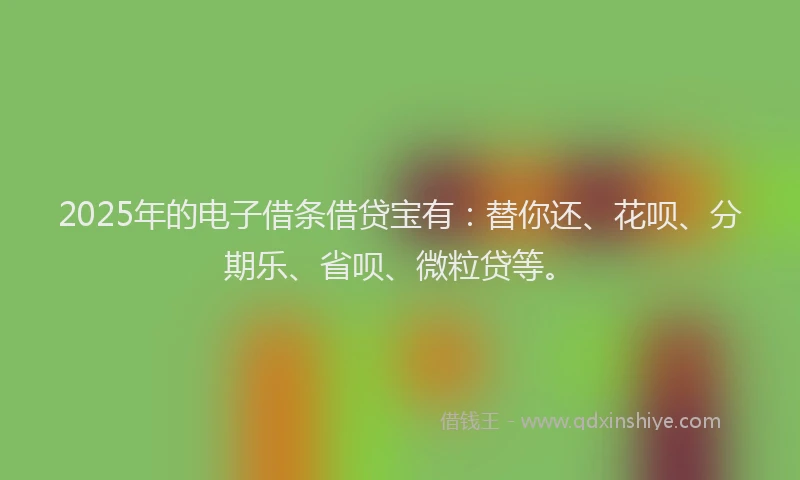 2025年的电子借条借贷宝有：替你还、花呗、分期乐、省呗、微粒贷等。