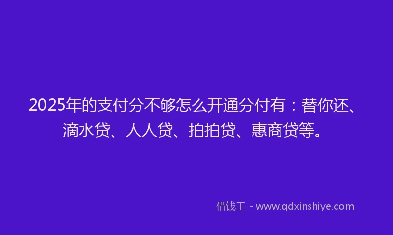 2025年的支付分不够怎么开通分付有：替你还、滴水贷、人人贷、拍拍贷、惠商贷等。
