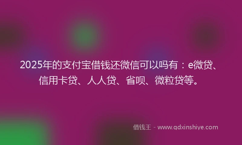 2025年的支付宝借钱还微信可以吗有：e微贷、信用卡贷、人人贷、省呗、微粒贷等。