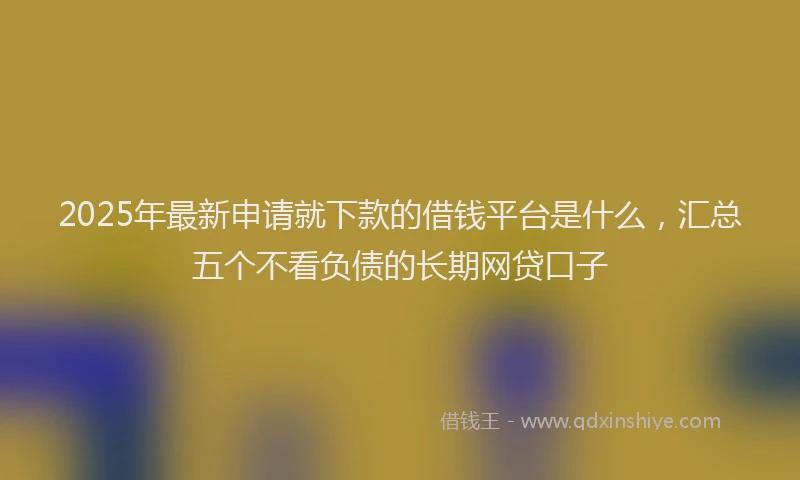 2025年最新申请就下款的借钱平台是什么，汇总五个不看负债的长期网贷口子