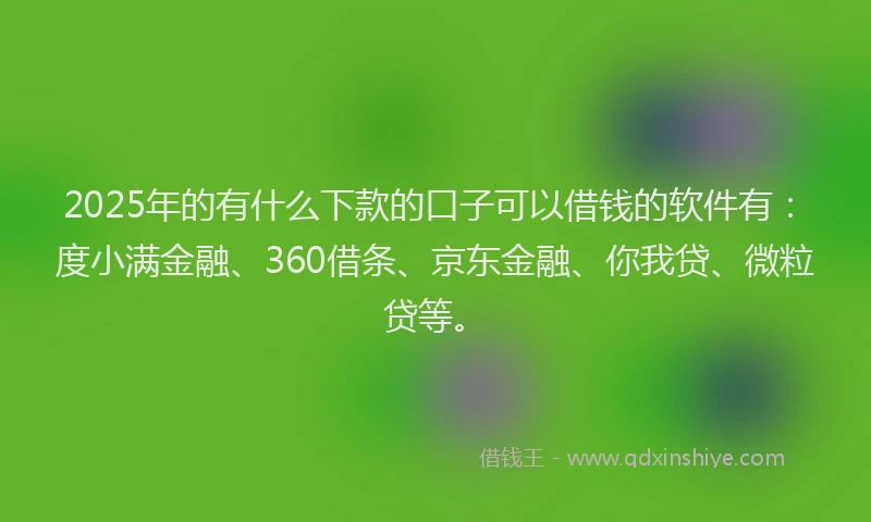 2025年的有什么下款的口子可以借钱的软件有：度小满金融、360借条、京东金融、你我贷、微粒贷等。