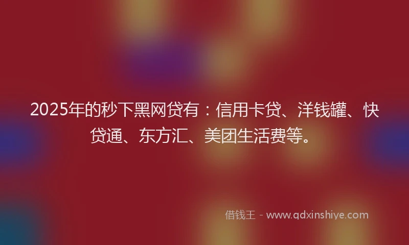 2025年的秒下黑网贷有：信用卡贷、洋钱罐、快贷通、东方汇、美团生活费等。
