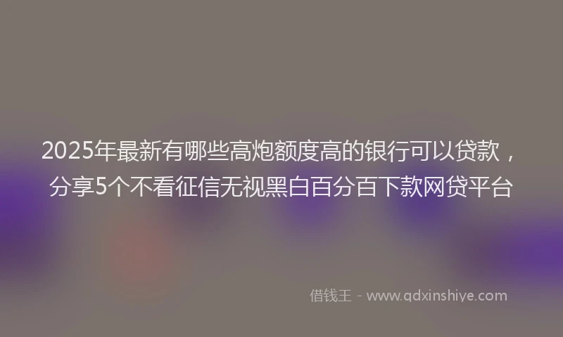 2025年最新有哪些高炮额度高的银行可以贷款，分享5个不看征信无视黑白百分百下款网贷平台