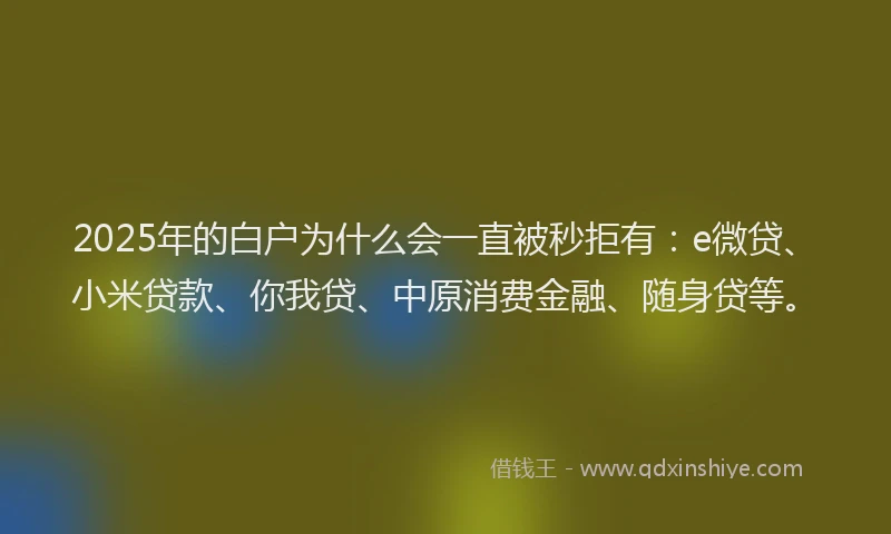 2025年的白户为什么会一直被秒拒有：e微贷、小米贷款、你我贷、中原消费金融、随身贷等。