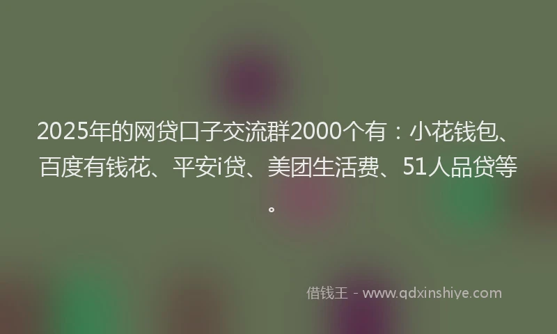 2025年的网贷口子交流群2000个有：小花钱包、百度有钱花、平安i贷、美团生活费、51人品贷等。