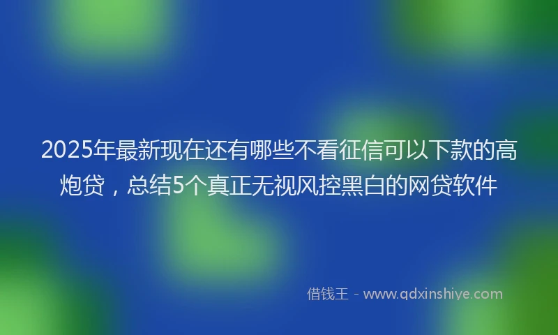 2025年最新现在还有哪些不看征信可以下款的高炮贷，总结5个真正无视风控黑白的网贷软件