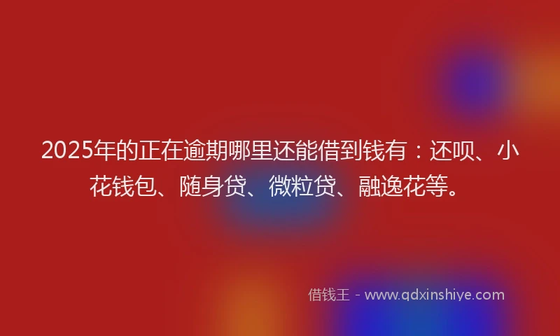 2025年的正在逾期哪里还能借到钱有：还呗、小花钱包、随身贷、微粒贷、融逸花等。