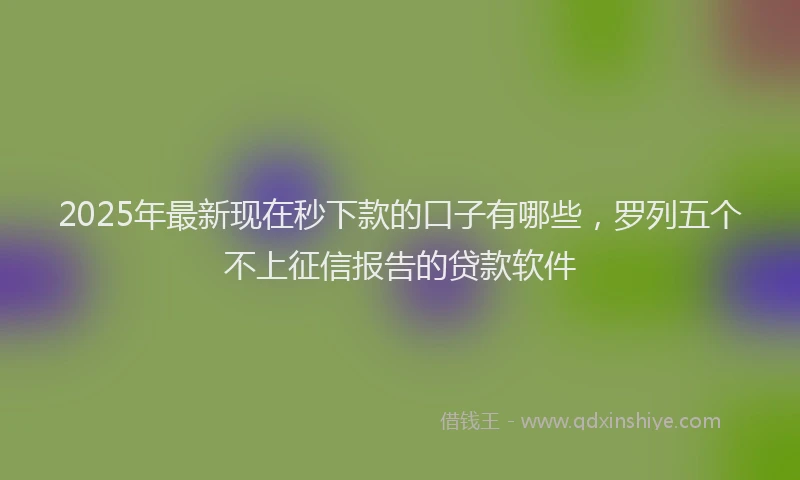 2025年最新现在秒下款的口子有哪些，罗列五个不上征信报告的贷款软件