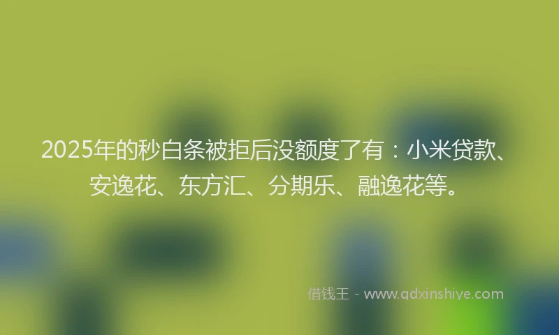 2025年的秒白条被拒后没额度了有：小米贷款、安逸花、东方汇、分期乐、融逸花等。