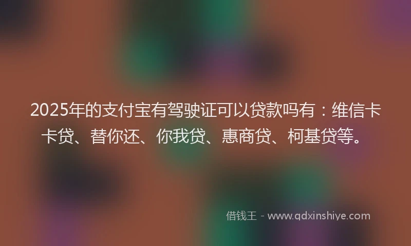 2025年的支付宝有驾驶证可以贷款吗有：维信卡卡贷、替你还、你我贷、惠商贷、柯基贷等。
