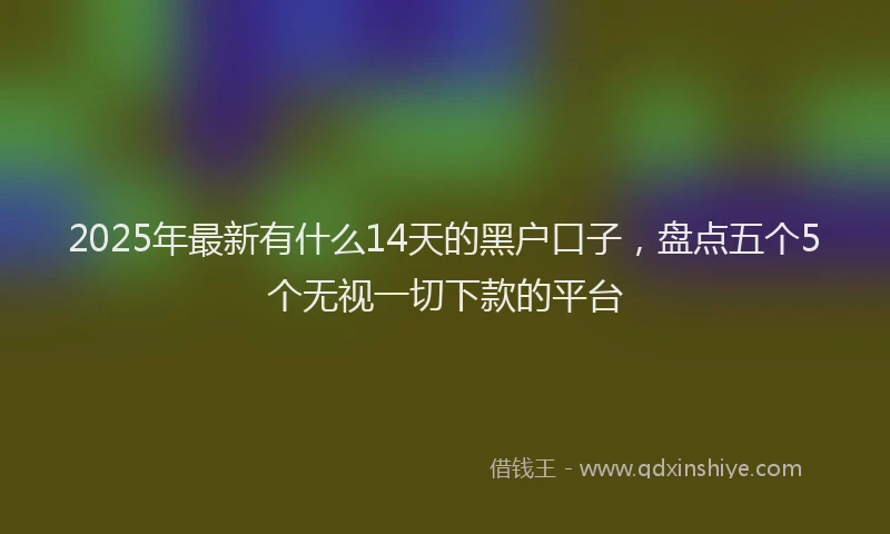 2025年最新有什么14天的黑户口子，盘点五个5个无视一切下款的平台