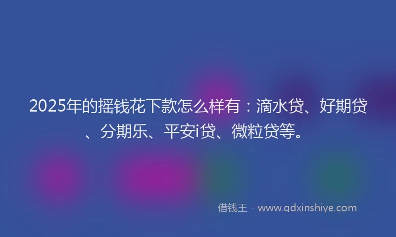 2025年的摇钱花下款怎么样有：滴水贷、好期贷、分期乐、平安i贷、微粒贷等。