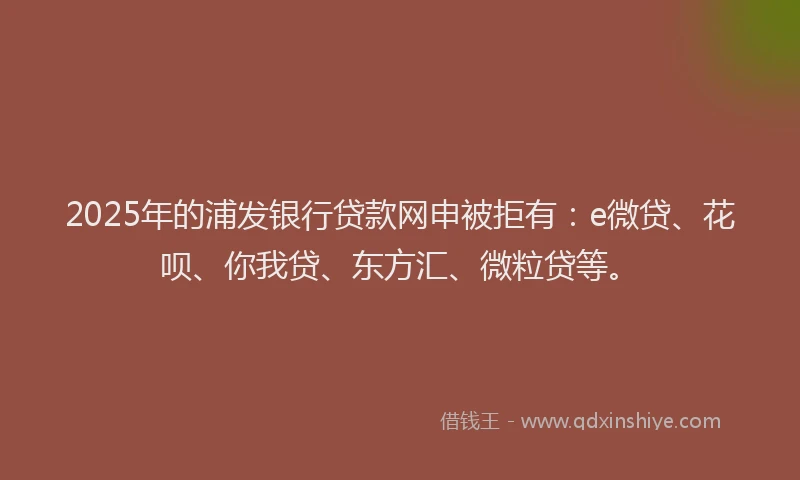 2025年的浦发银行贷款网申被拒有：e微贷、花呗、你我贷、东方汇、微粒贷等。