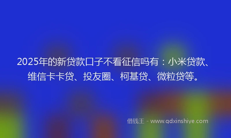 2025年的新贷款口子不看征信吗有：小米贷款、维信卡卡贷、投友圈、柯基贷、微粒贷等。