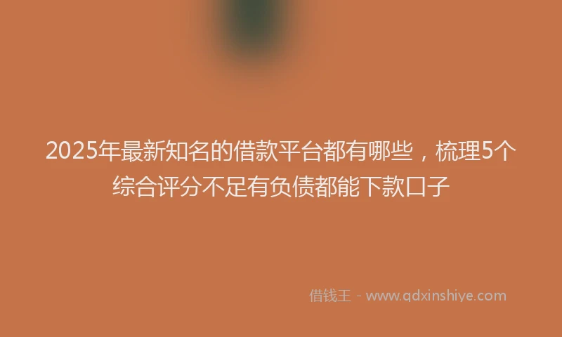 2025年最新知名的借款平台都有哪些，梳理5个综合评分不足有负债都能下款口子