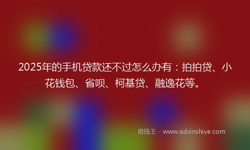 2025年的手机贷款还不过怎么办有：拍拍贷、小花钱包、省呗、柯基贷、融逸花等。