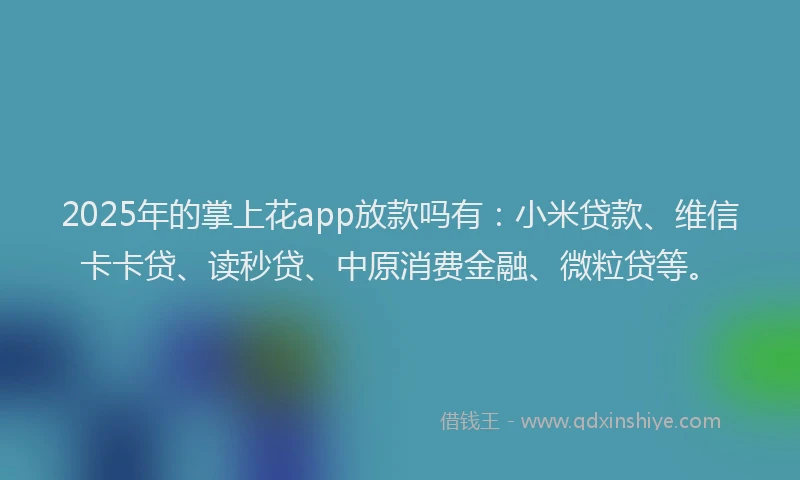 2025年的掌上花app放款吗有：小米贷款、维信卡卡贷、读秒贷、中原消费金融、微粒贷等。