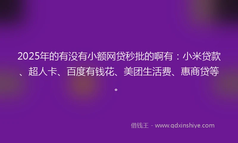 2025年的有没有小额网贷秒批的啊有：小米贷款、超人卡、百度有钱花、美团生活费、惠商贷等。