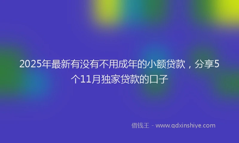 2025年最新有没有不用成年的小额贷款，分享5个11月独家贷款的口子