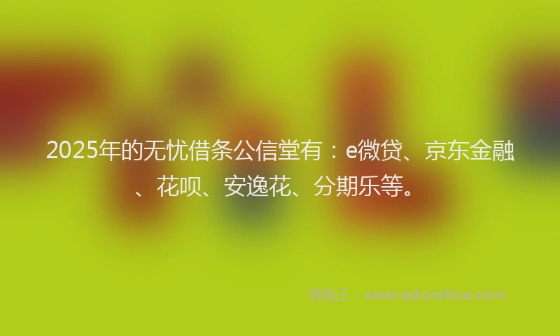 2025年的无忧借条公信堂有：e微贷、京东金融、花呗、安逸花、分期乐等。