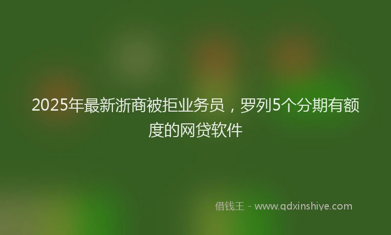 2025年最新浙商被拒业务员，罗列5个分期有额度的网贷软件