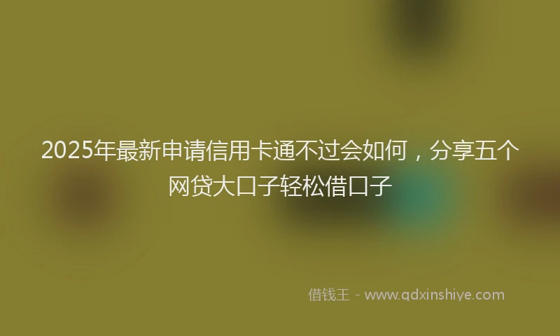 2025年最新申请信用卡通不过会如何，分享五个网贷大口子轻松借口子