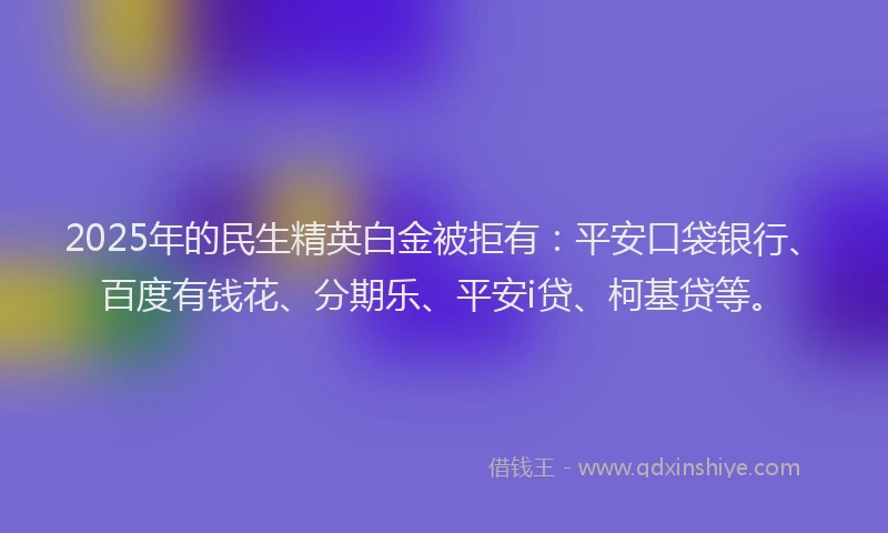 2025年的民生精英白金被拒有：平安口袋银行、百度有钱花、分期乐、平安i贷、柯基贷等。