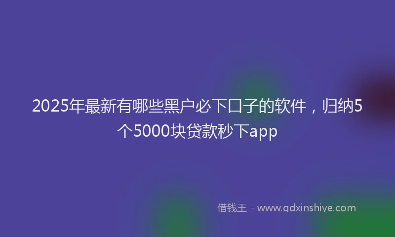 2025年最新有哪些黑户必下口子的软件，归纳5个5000块贷款秒下app