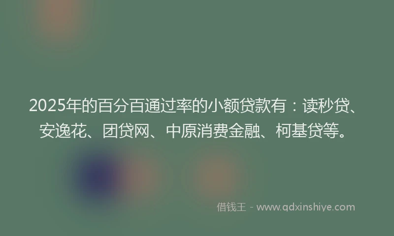 2025年的百分百通过率的小额贷款有：读秒贷、安逸花、团贷网、中原消费金融、柯基贷等。