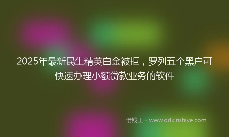 2025年最新民生精英白金被拒，罗列五个黑户可快速办理小额贷款业务的软件