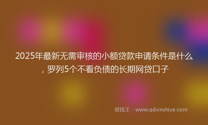 2025年最新无需审核的小额贷款申请条件是什么，罗列5个不看负债的长期网贷口子