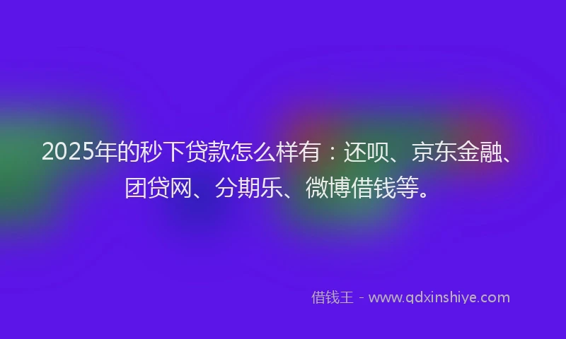 2025年的秒下贷款怎么样有：还呗、京东金融、团贷网、分期乐、微博借钱等。