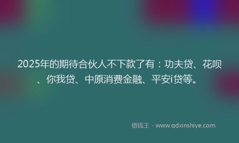 2025年的期待合伙人不下款了有：功夫贷、花呗、你我贷、中原消费金融、平安i贷等。