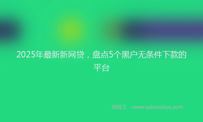 2025年最新新网贷，盘点5个黑户无条件下款的平台