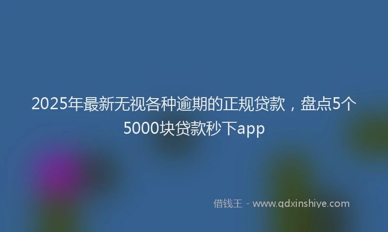 2025年最新无视各种逾期的正规贷款，盘点5个5000块贷款秒下app
