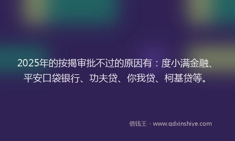 2025年的按揭审批不过的原因有：度小满金融、平安口袋银行、功夫贷、你我贷、柯基贷等。