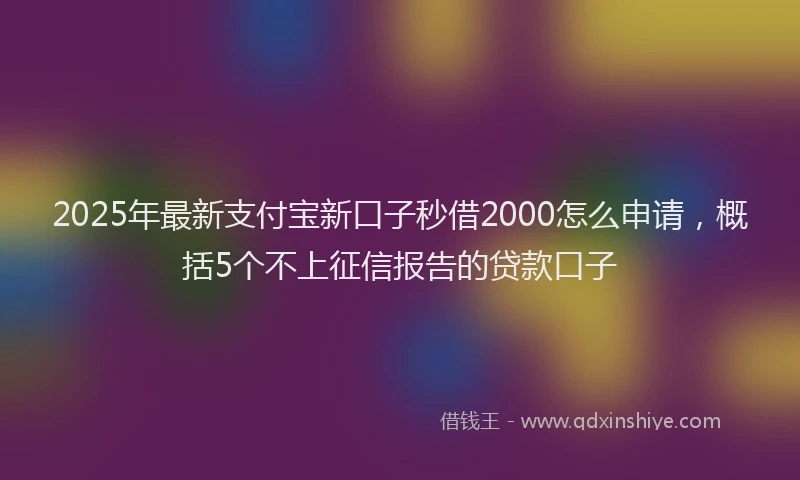 2025年最新支付宝新口子秒借2000怎么申请，概括5个不上征信报告的贷款口子