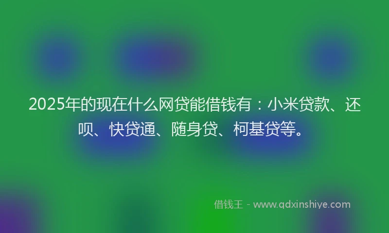 2025年的现在什么网贷能借钱有：小米贷款、还呗、快贷通、随身贷、柯基贷等。