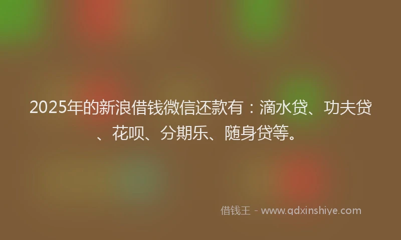 2025年的新浪借钱微信还款有：滴水贷、功夫贷、花呗、分期乐、随身贷等。