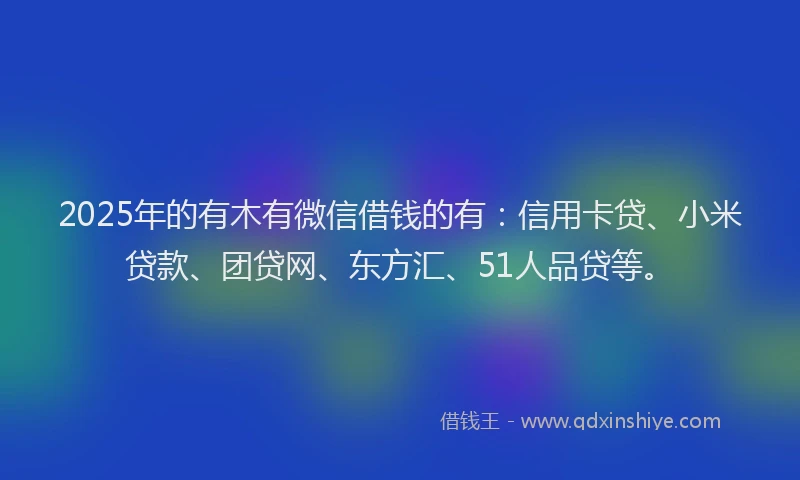 2025年的有木有微信借钱的有：信用卡贷、小米贷款、团贷网、东方汇、51人品贷等。