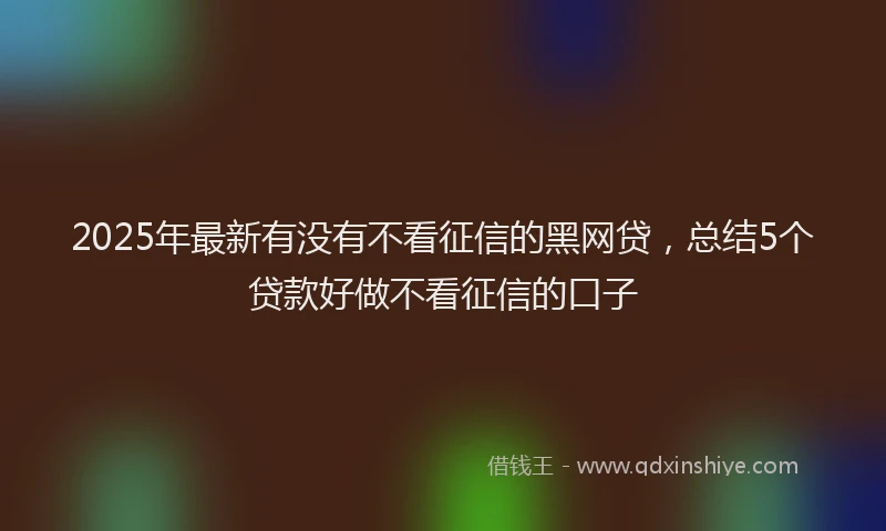2025年最新有没有不看征信的黑网贷，总结5个贷款好做不看征信的口子