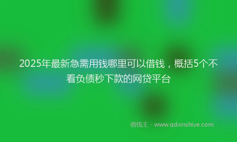 2025年最新急需用钱哪里可以借钱，概括5个不看负债秒下款的网贷平台