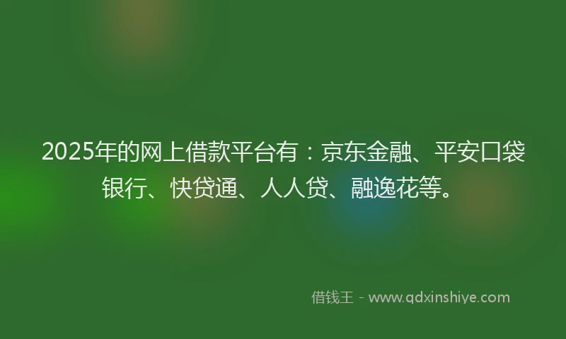 2025年的网上借款平台有：京东金融、平安口袋银行、快贷通、人人贷、融逸花等。