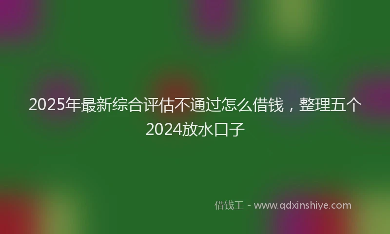 2025年最新综合评估不通过怎么借钱，整理五个2024放水口子