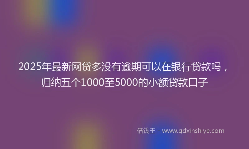 2025年最新网贷多没有逾期可以在银行贷款吗，归纳五个1000至5000的小额贷款口子