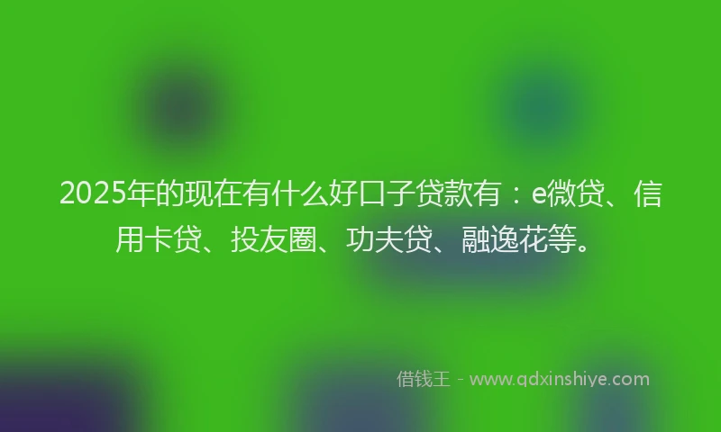 2025年的现在有什么好口子贷款有：e微贷、信用卡贷、投友圈、功夫贷、融逸花等。